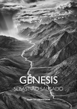 Guia do Professor