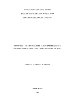 DISSERTA&Ccedil;&Atilde;O DE MESTRADO