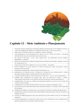 Visualizar - 14&ordm; Simp&oacute;sio de Geologia da Amaz&ocirc;nia