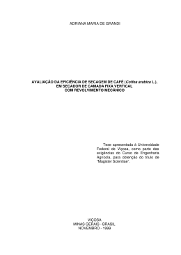ADRIANA MARIA DE GRANDI AVALIA&Ccedil;&Atilde;O DA EFICI&Ecirc;NCIA