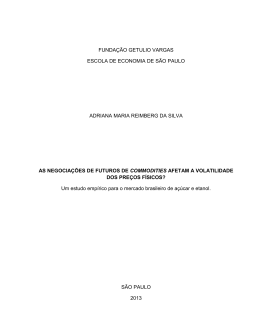 Disserta&ccedil;&atilde;o - Funda&ccedil;&atilde;o Getulio Vargas
