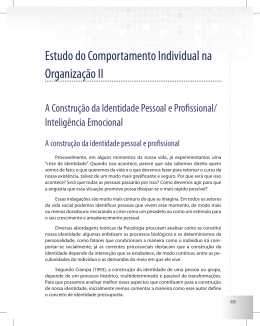 Estudo do Comportamento Individual na Organiza&ccedil;&atilde;o II