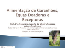 Prof. Dr. Alexandre Augusto de Oliveira Gobesso