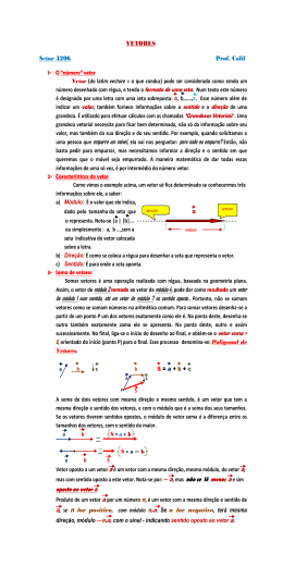 VETORES Setor 3206 Prof. Calil n for negativo, ter&aacute; mesma