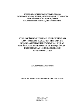 Disserta&ccedil;&atilde;o