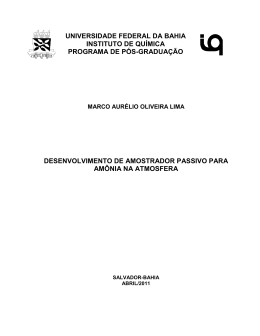 DISSERTA&Ccedil;&Atilde;O MESTRADO-MARCO AURELIO