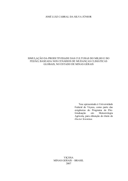 JOS&Eacute; LUIZ CABRAL DA SILVA J&Uacute;NIOR SIMULA&Ccedil;&Atilde;O DA