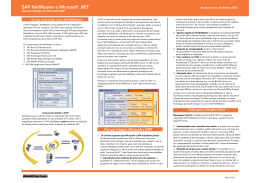 SAP NetWeaver e Microsoft .NET