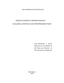 ilza aparecida dos santos ruiz - Biblioteca Digital de Teses e