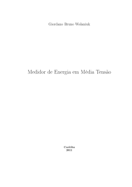 Disserta&ccedil;&atilde;o - Institutos Lactec