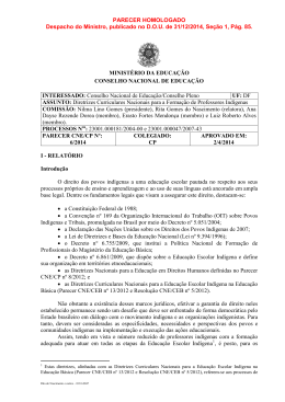 Parecer CNE/CP n&ordm; 6/2014