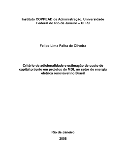 Instituto COPPEAD de Administra&ccedil;&atilde;o, Universidade Federal