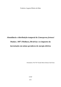 - O Programa