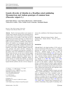 Genetic diversity of rhizobia in a Brazilian oxisol nodulating