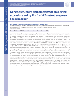 Genetic structure and diversity of grapevine accessions using Tvv1