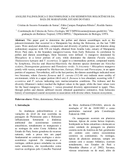 AN&Aacute;LISE PALINOL&Oacute;GICA E DIATOMOL&Oacute;GICA EM