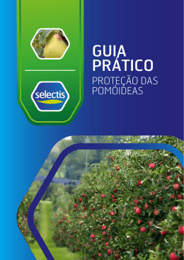 pom&oacute;ideas - Selectis