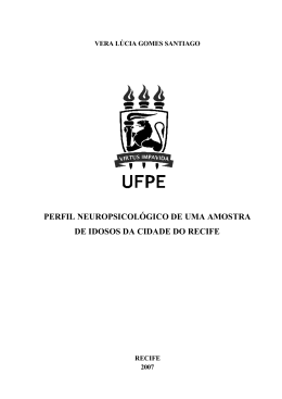 Disserta&ccedil;&atilde;o Vera Santiago