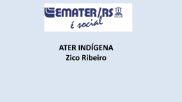 Emater RS Ater Indígena - Palestra com Zico Ribeiro