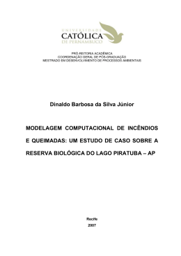 Dinaldo Barbosa da Silva J&uacute;nior MODELAGEM