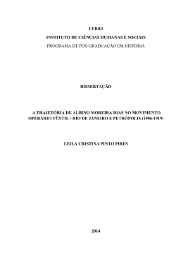Disserta&ccedil;&atilde;o Final Leila Cristina P. Pires