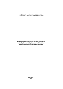márcio augusto ferreira - Biblioteca Digital de Teses e Dissertações
