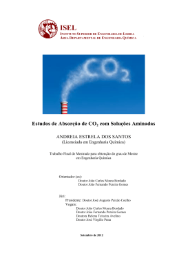 Estudos de Absor&ccedil;&atilde;o de CO2 com Solu&ccedil;&otilde;es Aminadas