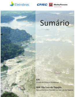 EIA AHE S&atilde;o Luiz do Tapaj&oacute;s