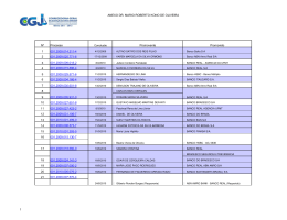 ANEXO DR. MARIO ROBERTO KONO DE OLIVEIRA