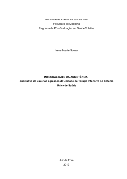 Disserta&ccedil;&atilde;o - Universidade Federal de Juiz de Fora