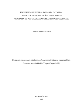 Do passeio na avenida &agrave; balada no prolonga: sociabilidade no