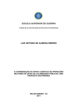 RIBEIRO, Luiz Antonio de Almeida. A coordena&ccedil;&atilde;o do apoio