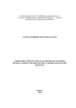 f&aacute;tima ferreira pinto dos santos o princ&iacute;pio constitucional