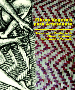images/abook/pdf/Cartilha Fibras Vegetais para Artesanato