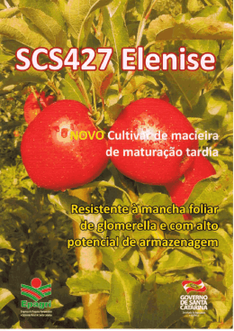 SCS 427 - Elenise