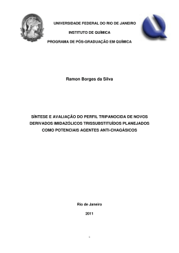 Ramon Borges da Silva - LASSBio