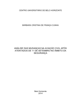 an&aacute;lise das mudan&ccedil;as na avia&ccedil;&atilde;o civil ap&oacute;s atentados de 11 de