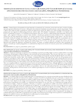 Germina&ccedil;&atilde;o de sementes de Tacinga inamoena (K. Schum.) N.P.