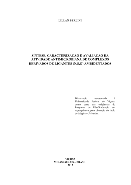 S&Iacute;NTESE, CARACTERIZA&Ccedil;&Atilde;O E AVALIA&Ccedil;&Atilde;O DA ATIVIDADE