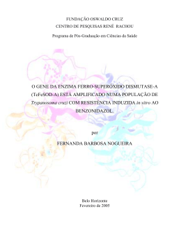 INSTITUTO OSWALDO CRUZ - FIOCRUZ