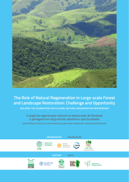 do arquivo em PDF - IIS - Instituto Internacional para