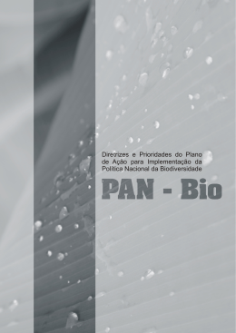 Diretrizes e Prioridades do Plano de A&ccedil;&atilde;o para a implementa&ccedil;&atilde;o da