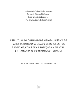 Visualizar/Abrir - Universidade Federal de Pernambuco