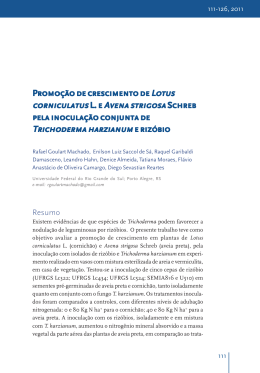 Promo&ccedil;&atilde;o de crescimento de Promo&ccedil;&atilde;o de crescimento de Lotus