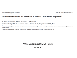 Apresentação: Pedro Augusto da Silva Peres