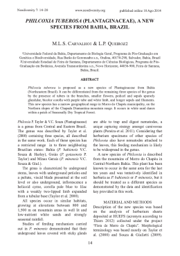 philcoxia tuberosa (plantaginaceae), a new species