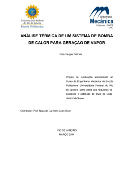 AN&Aacute;LISE T&Eacute;RMICA DE UM SISTEMA DE