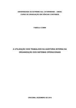 A UTILIZA&Ccedil;&Atilde;O DOS TRABALHOS DA AUDITORIA INTERNA NA