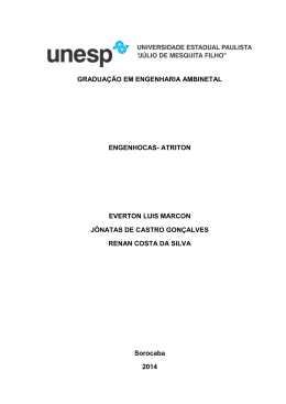 gradua&ccedil;&atilde;o em engenharia ambinetal engenhocas- atriton