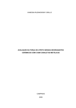 vanessa ruzanowsky grillo avalia&ccedil;&atilde;o da for&ccedil;a de atrito